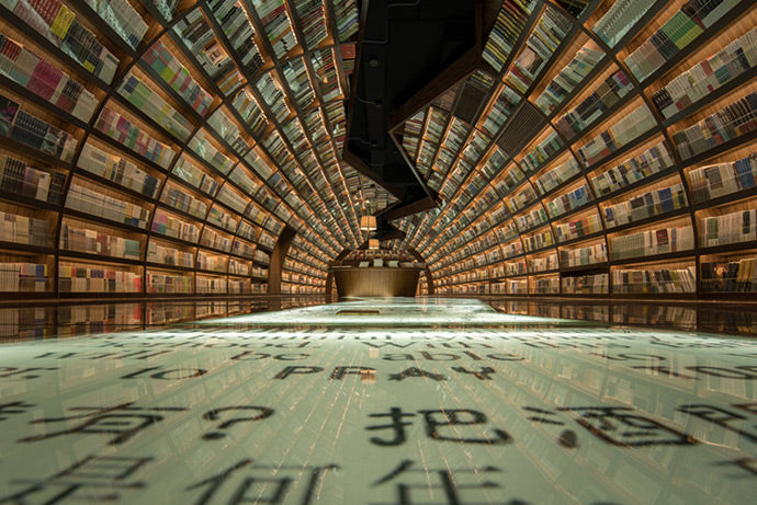 The Library Of Mirrored Knowledge - SATORI & SCOUT