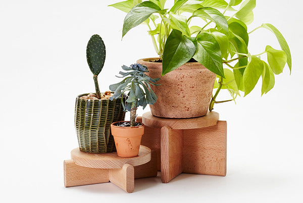 Fun Everyday Designs By Areaware