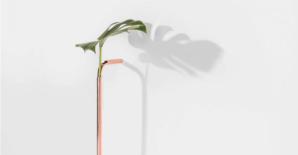 High Aesthetic Minimalist Flower Vessels