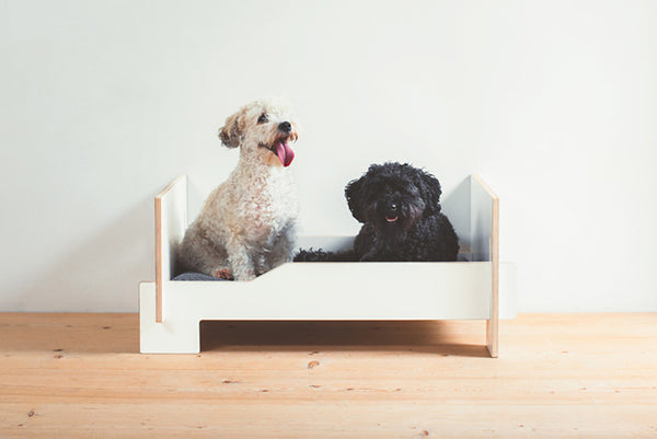 The Pooch Flat Pack Bed Set
