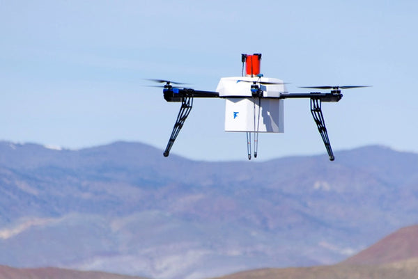 The Flirtey Drone Delivery