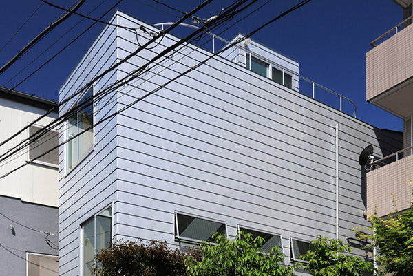 The Skinny House At Hommachi