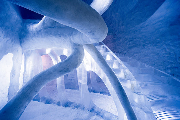 The IceHotel