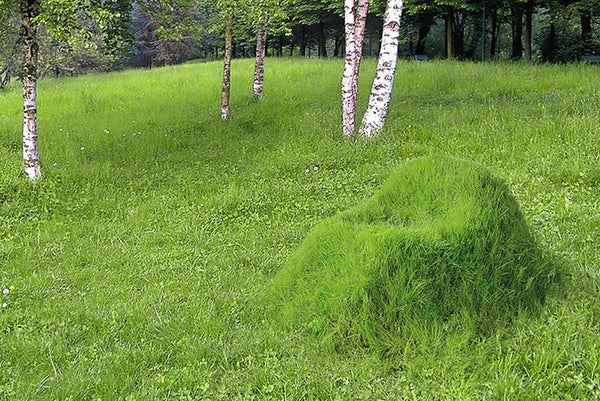 Your Garden Grass Seat
